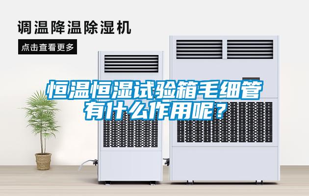 恒溫恒濕試驗(yàn)箱毛細(xì)管有什么作用呢？