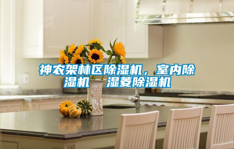 神農(nóng)架林區(qū)除濕機(jī)，室內(nèi)除濕機(jī)  濕菱除濕機(jī)