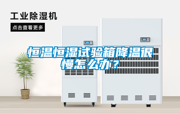 恒溫恒濕試驗(yàn)箱降溫很慢怎么辦？