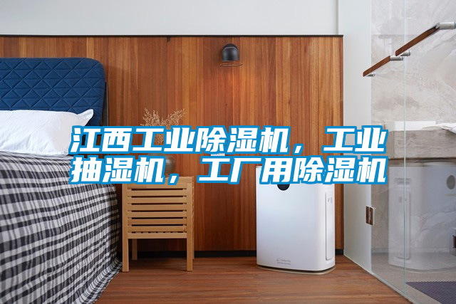 江西工業(yè)除濕機，工業(yè)抽濕機，工廠用除濕機