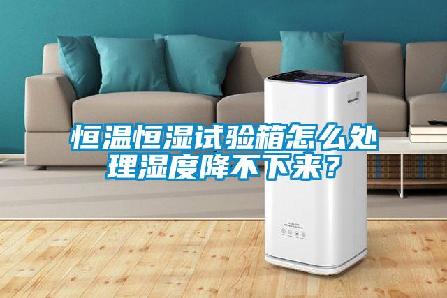 恒溫恒濕試驗箱怎么處理濕度降不下來？