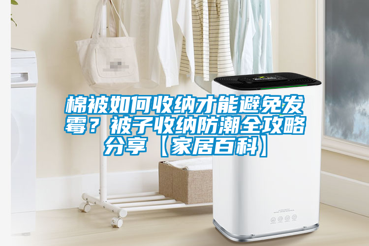 棉被如何收納才能避免發(fā)霉？被子收納防潮全攻略分享【家居百科】