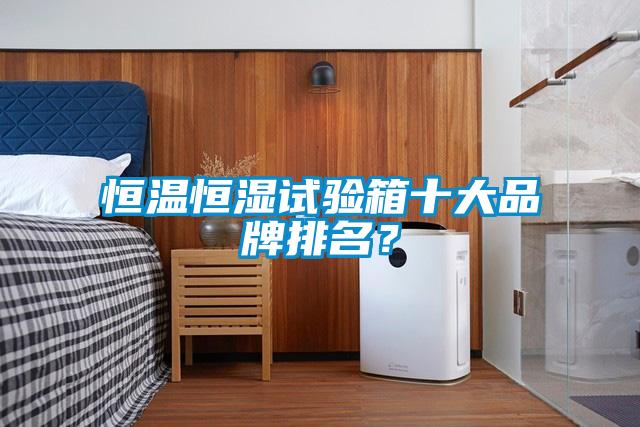 恒溫恒濕試驗(yàn)箱十大品牌排名？