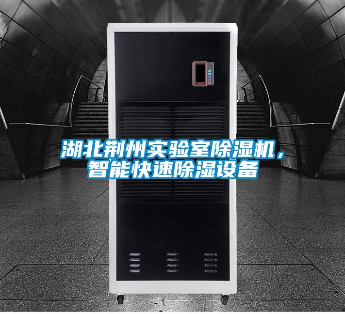 湖北荊州實驗室除濕機(jī)，智能快速除濕設(shè)備