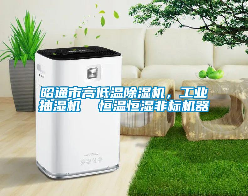 昭通市高低溫除濕機(jī)，工業(yè)抽濕機(jī)  恒溫恒濕非標(biāo)機(jī)器