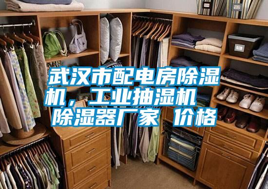 武漢市配電房除濕機(jī)，工業(yè)抽濕機(jī)  除濕器廠家 價(jià)格