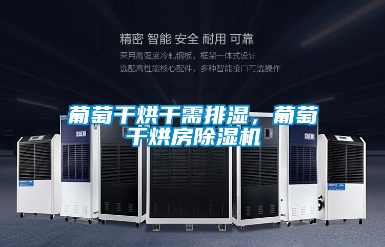 葡萄干烘干需排濕，葡萄干烘房除濕機