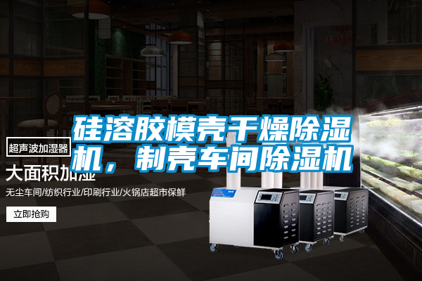 硅溶膠模殼干燥除濕機(jī)，制殼車間除濕機(jī)