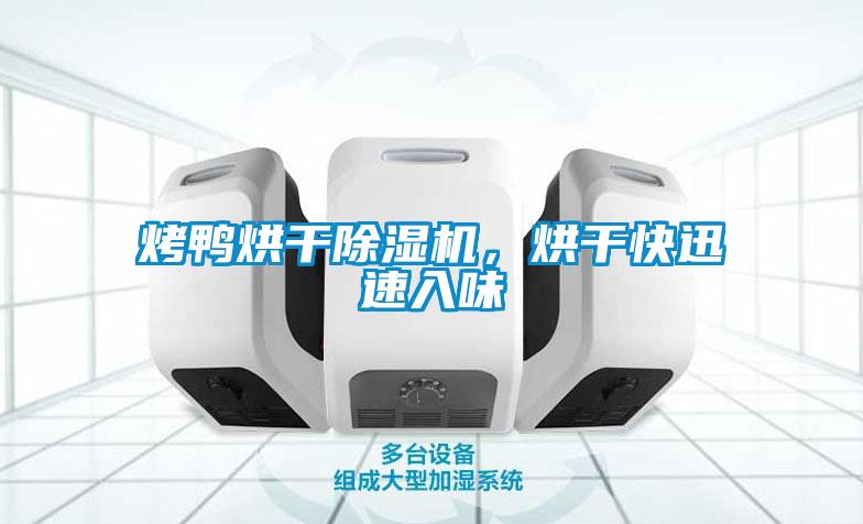 烤鴨烘干除濕機(jī)，烘干快迅速入味