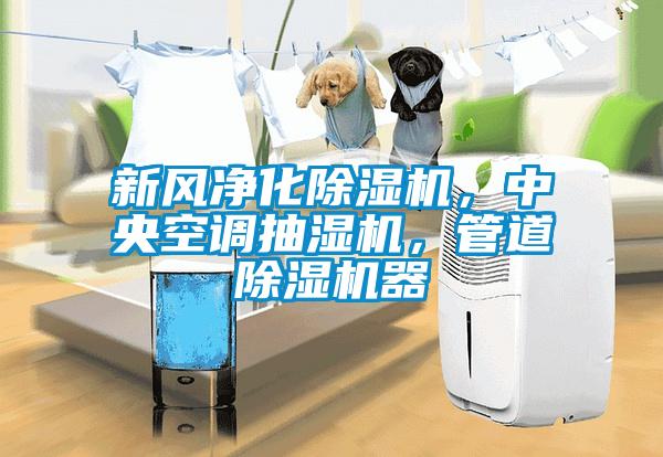 新風(fēng)凈化除濕機(jī)，中央空調(diào)抽濕機(jī)，管道除濕機(jī)器