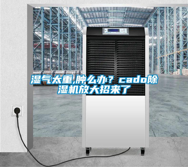 濕氣太重,腫么辦？cado除濕機(jī)放大招來了