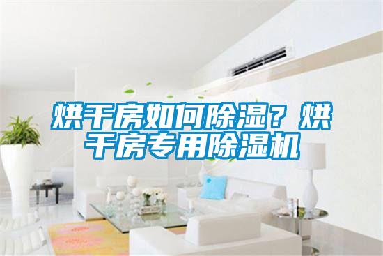 烘干房如何除濕？烘干房專用除濕機