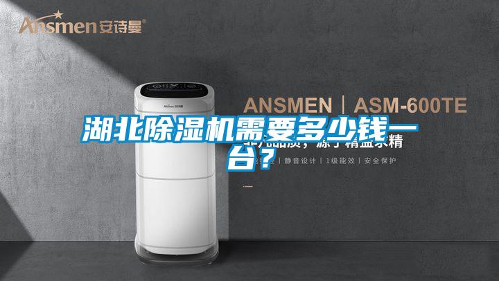湖北除濕機(jī)需要多少錢一臺(tái)？