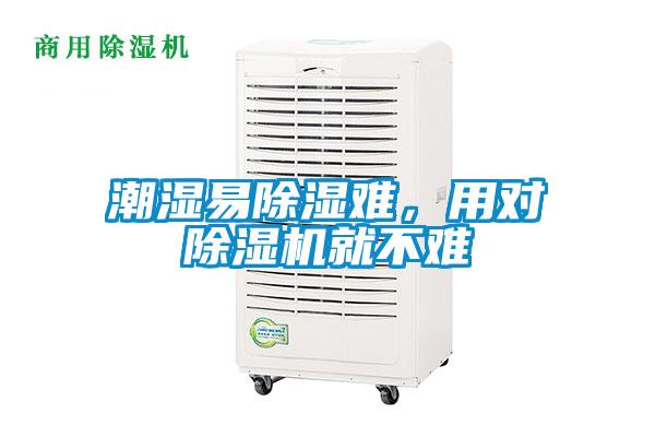 潮濕易除濕難，用對除濕機就不難
