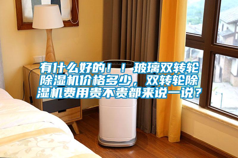 有什么好的！！玻璃雙轉(zhuǎn)輪除濕機(jī)價(jià)格多少，雙轉(zhuǎn)輪除濕機(jī)費(fèi)用貴不貴都來說一說？
