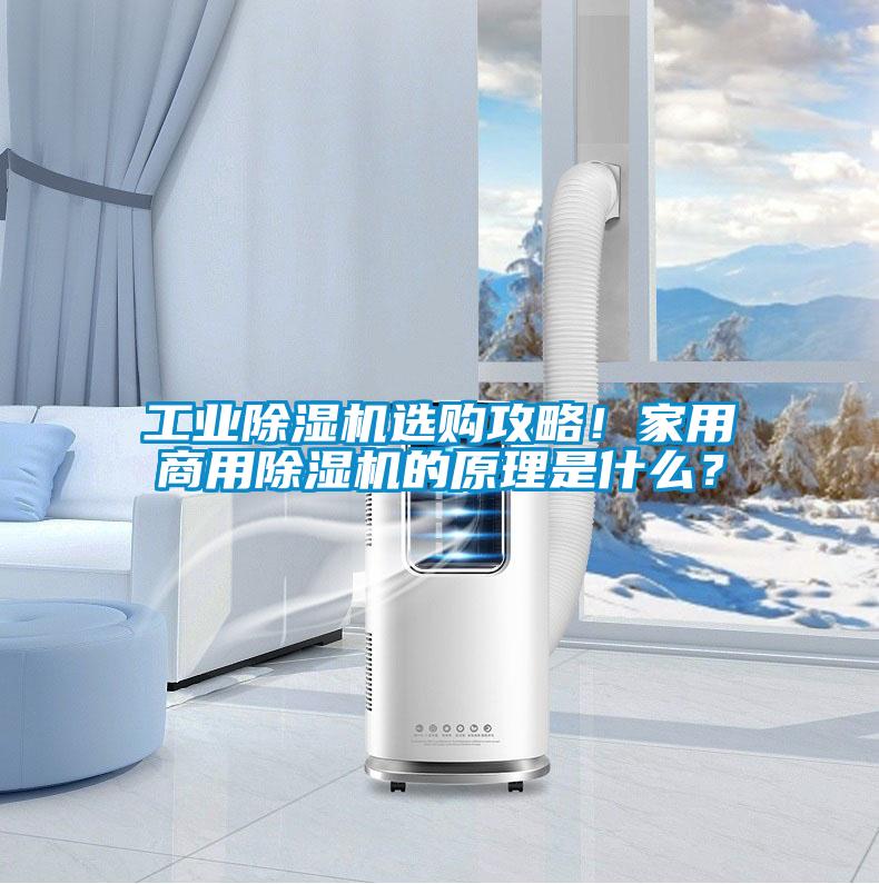 工業(yè)除濕機(jī)選購(gòu)攻略！家用商用除濕機(jī)的原理是什么？