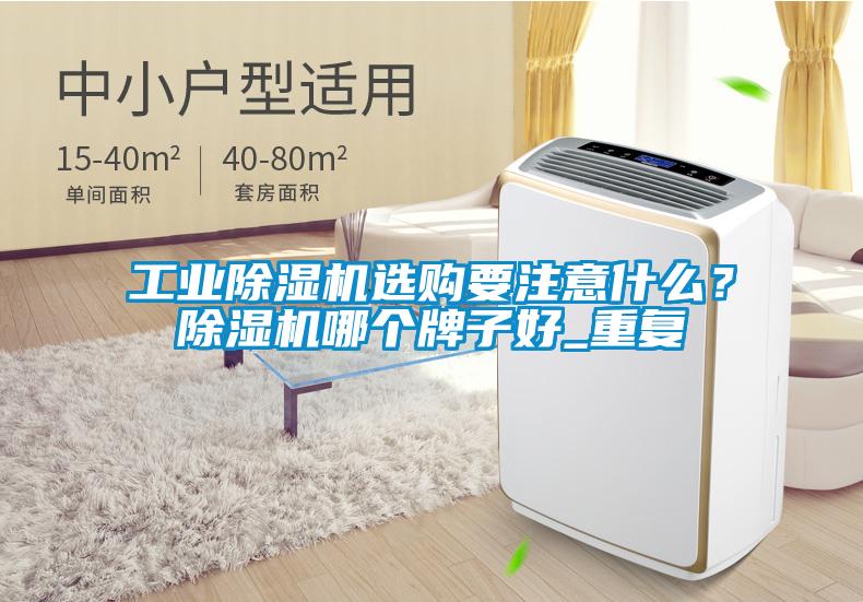 工業(yè)除濕機(jī)選購(gòu)要注意什么？除濕機(jī)哪個(gè)牌子好_重復(fù)