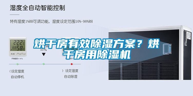 烘干房有效除濕方案？烘干房用除濕機(jī)