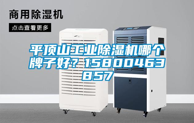 平頂山工業(yè)除濕機(jī)哪個牌子好？15800463857
