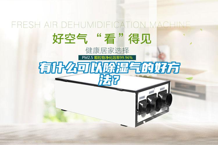 有什么可以除濕氣的好方法？