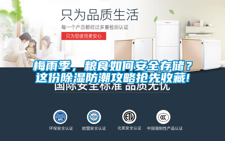 梅雨季，糧食如何安全存儲(chǔ)？這份除濕防潮攻略搶先收藏!