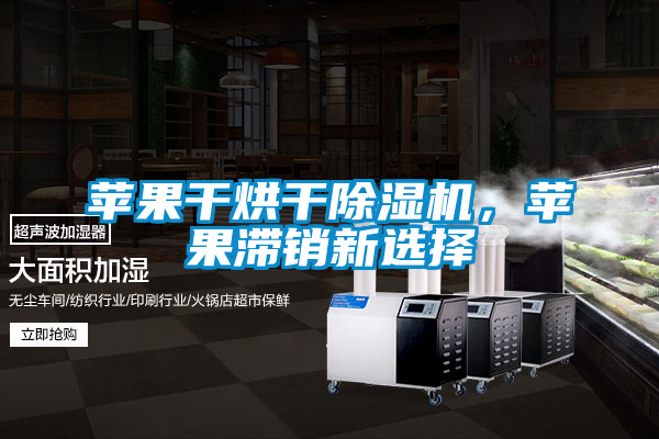 蘋果干烘干除濕機(jī)，蘋果滯銷新選擇