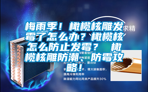 梅雨季！橄欖核雕發(fā)霉了怎么辦？橄欖核怎么防止發(fā)霉？ 橄欖核雕防潮、防霉攻略！
