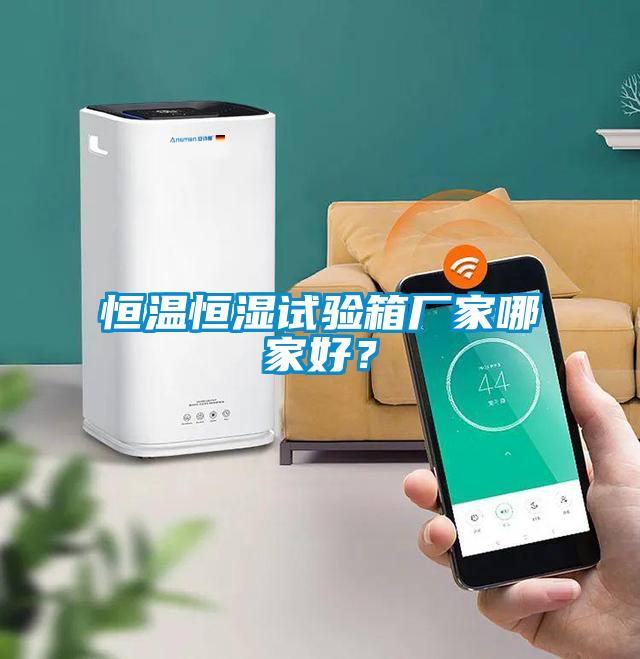 恒溫恒濕試驗(yàn)箱廠家哪家好？