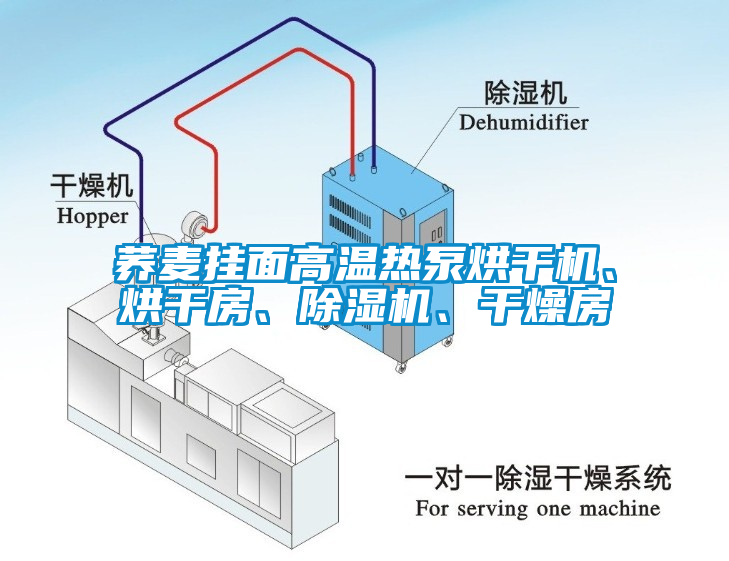 蕎麥掛面高溫熱泵烘干機、烘干房、除濕機、干燥房