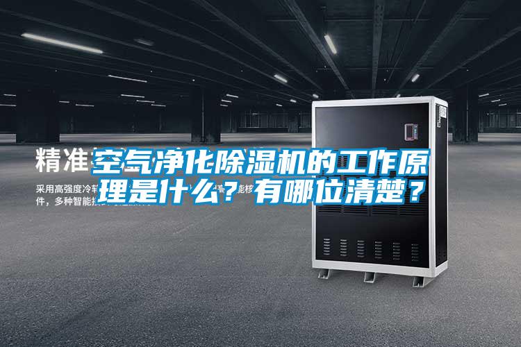空氣凈化除濕機(jī)的工作原理是什么？有哪位清楚？