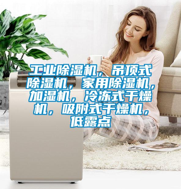 工業(yè)除濕機(jī)，吊頂式除濕機(jī)，家用除濕機(jī)，加濕機(jī)，冷凍式干燥機(jī)，吸附式干燥機(jī)，低露點(diǎn)