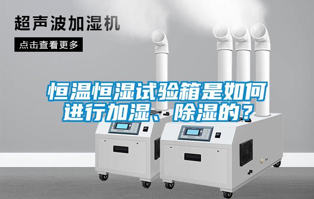 恒溫恒濕試驗箱是如何進(jìn)行加濕、除濕的？