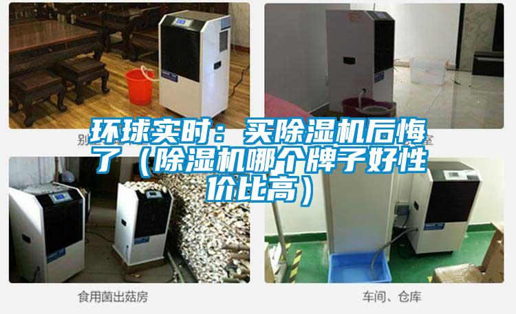 環(huán)球?qū)崟r(shí)：買(mǎi)除濕機(jī)后悔了（除濕機(jī)哪個(gè)牌子好性?xún)r(jià)比高）
