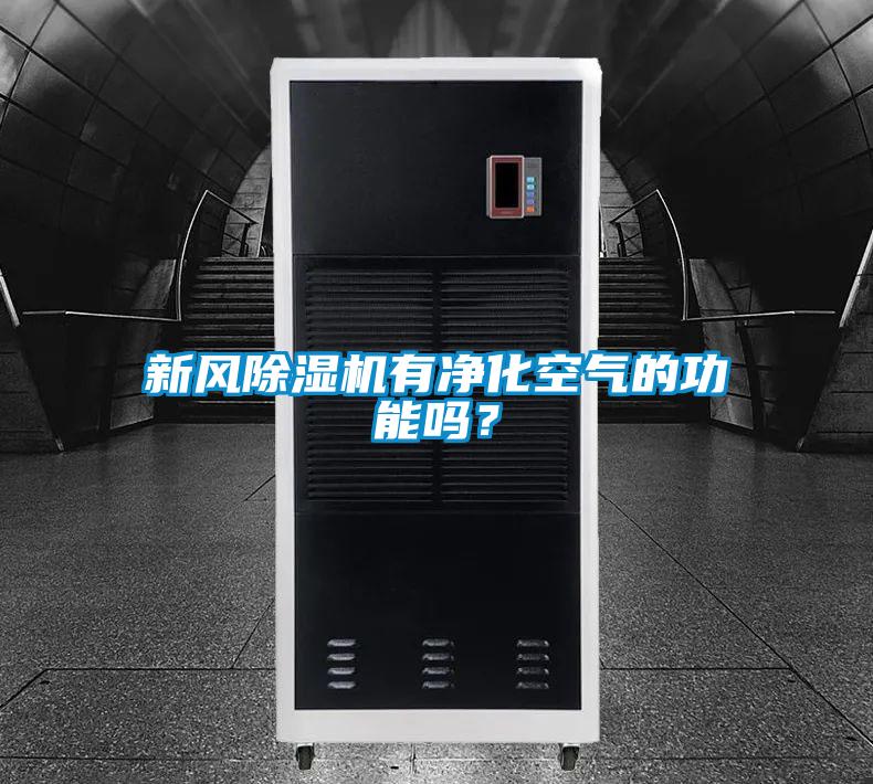 新風(fēng)除濕機有凈化空氣的功能嗎？