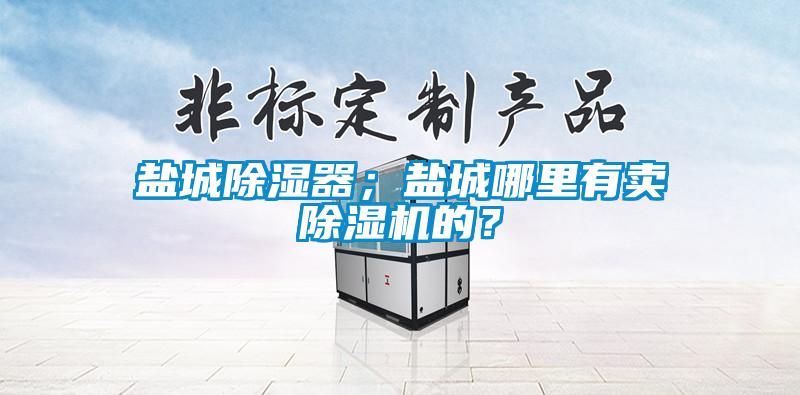 鹽城除濕器；鹽城哪里有賣除濕機(jī)的？