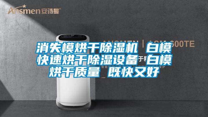 消失模烘干除濕機(jī) 白?？焖俸娓沙凉裨O(shè)備 白模烘干質(zhì)量 既快又好