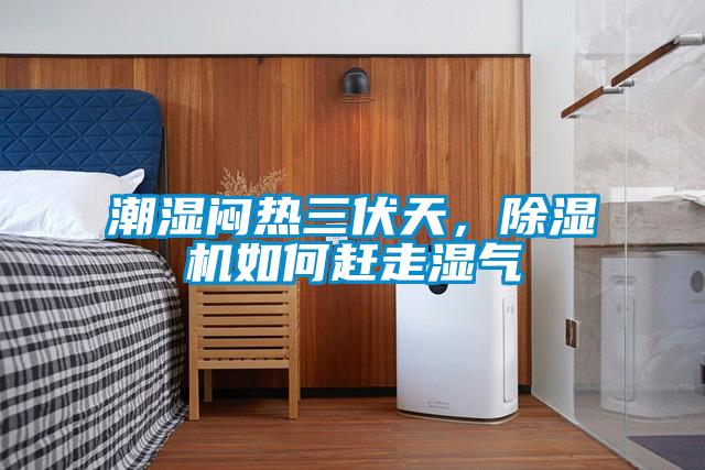 潮濕悶熱三伏天，除濕機如何趕走濕氣