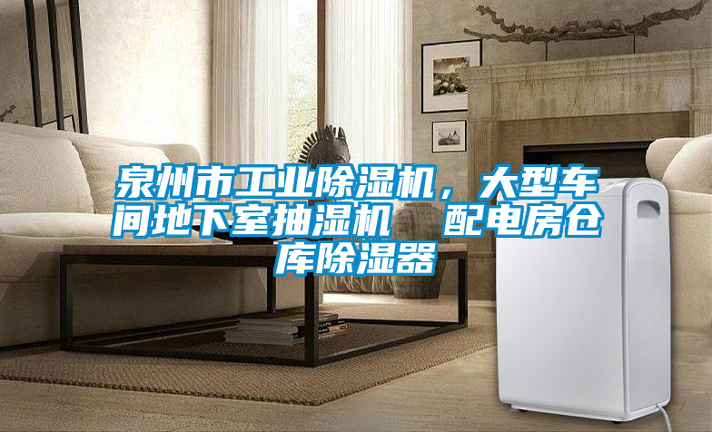 泉州市工業(yè)除濕機(jī)，大型車間地下室抽濕機(jī)  配電房倉庫除濕器
