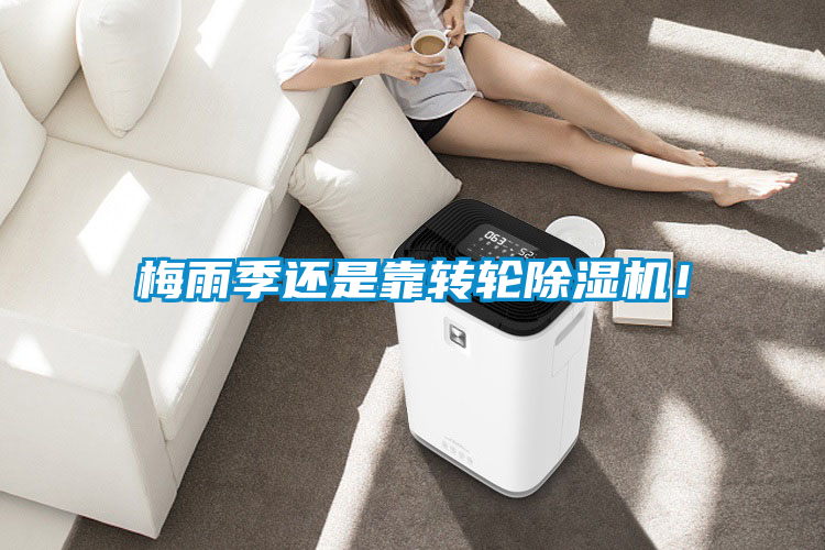 梅雨季還是靠轉(zhuǎn)輪除濕機(jī)！