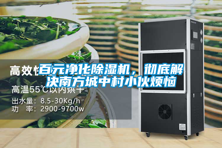 百元凈化除濕機(jī)，徹底解決南方城中村小伙煩惱