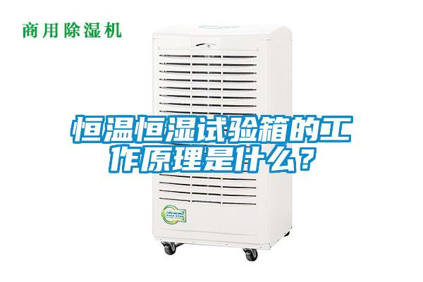 恒溫恒濕試驗(yàn)箱的工作原理是什么？