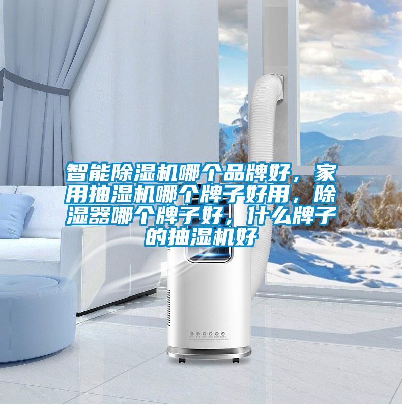 智能除濕機(jī)哪個(gè)品牌好，家用抽濕機(jī)哪個(gè)牌子好用，除濕器哪個(gè)牌子好，什么牌子的抽濕機(jī)好