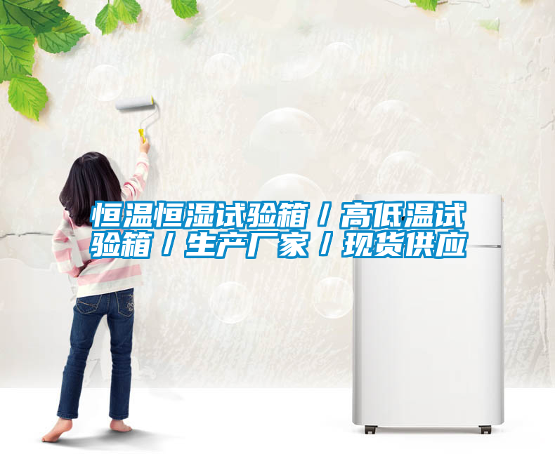 恒溫恒濕試驗箱／高低溫試驗箱／生產廠家／現(xiàn)貨供應
