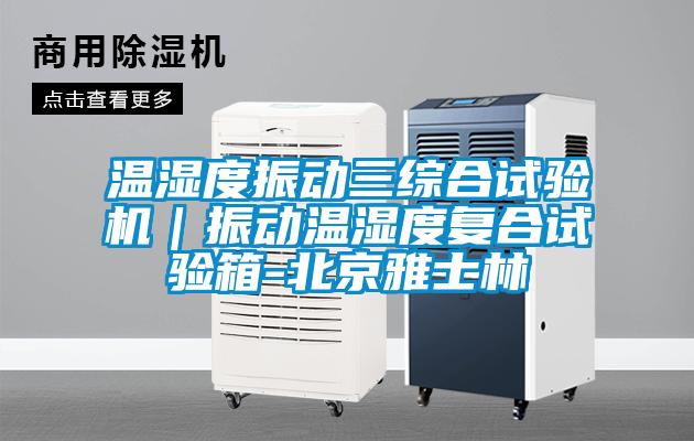 溫濕度振動三綜合試驗機(jī)｜振動溫濕度復(fù)合試驗箱-北京雅士林