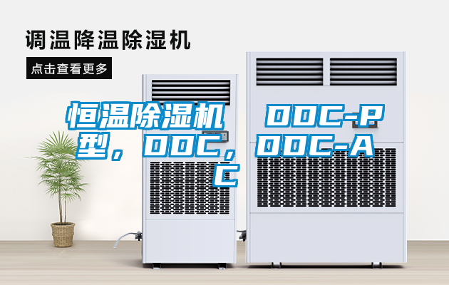 恒溫除濕機(jī)  DDC-P型，DDC，DDC-AC