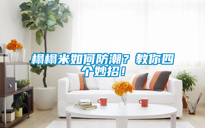 榻榻米如何防潮？教你四個妙招！