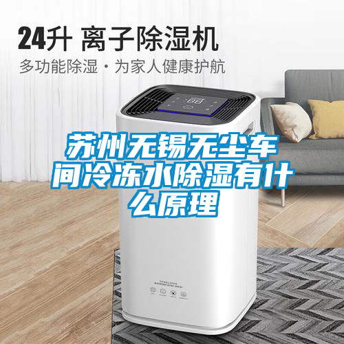 蘇州無(wú)錫無(wú)塵車間冷凍水除濕有什么原理