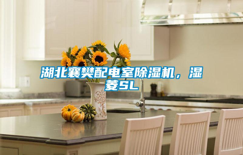 湖北襄樊配電室除濕機(jī)，濕菱SL