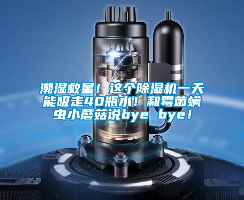 潮濕救星！這個(gè)除濕機(jī)一天能吸走40瓶水！和霉菌螨蟲小蘑菇說bye bye！