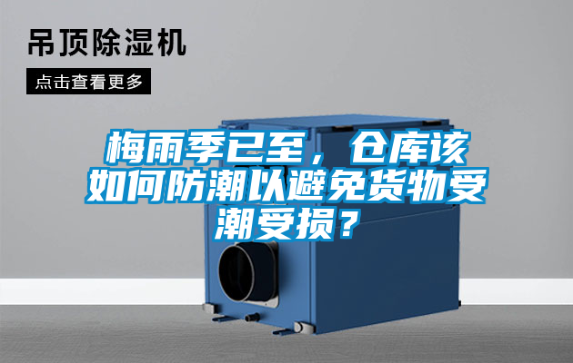 梅雨季已至，倉庫該如何防潮以避免貨物受潮受損？